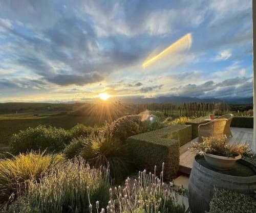 Quail Run Cottage with stunning vineyard views