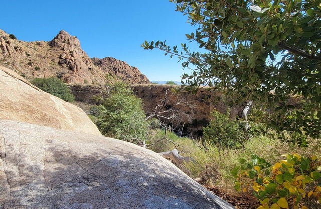 Quaint home in southern Arizona wine country. Pet Friendly!