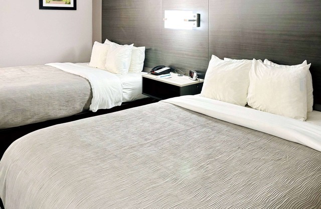 Quality Inn Raynham - Taunton