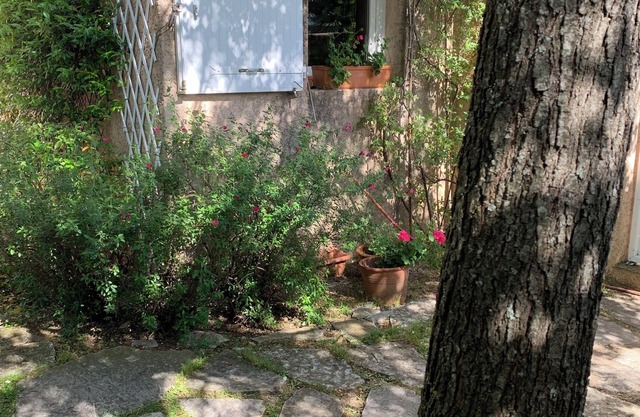 Quiet, air-conditioned villa near Montpellier, sea and river. Pets allowed