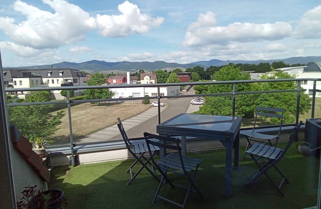 Quiet apartment overlooking the Vosges mountains