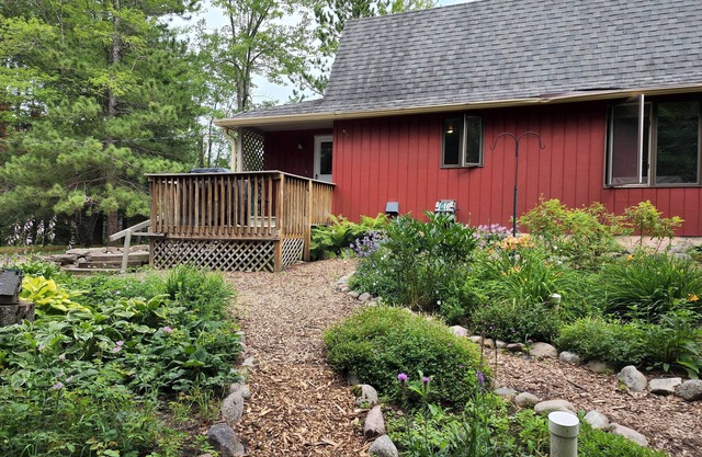 Quiet Cottage in the Woods on the Edge of Town