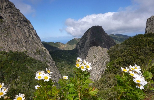 Casa de vacaciones tranquila en la naturaleza