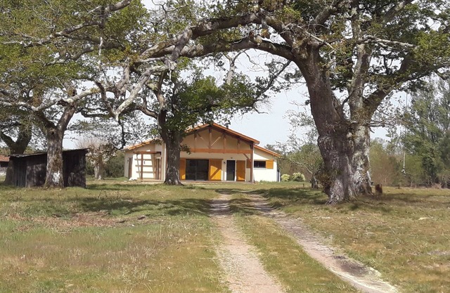 Quiet house between forest, lake and ocean