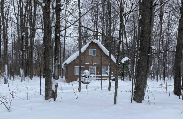 Quiet Romantic Cabin - Pet Friendly