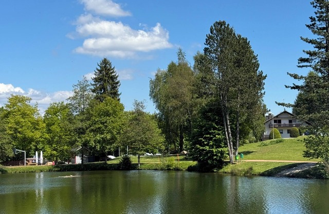 Quiet vacation apartment with lake view, fiber optics & parking - ideal for families