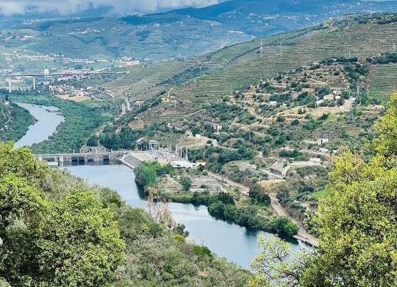 Quinta da Pinguinha - Douro