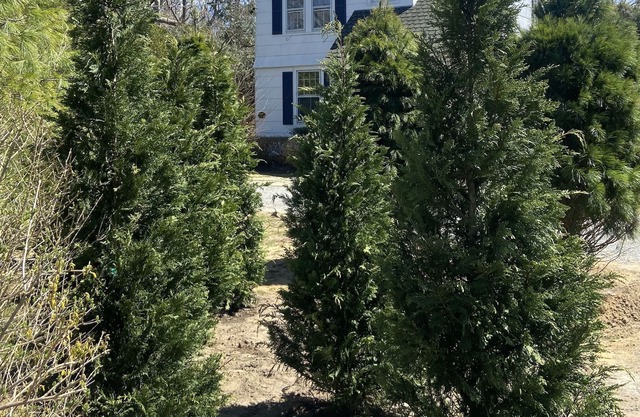 Quogue Village classic beach house