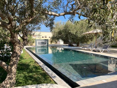 Résidence Jamila Location Appartements confort piscine proche zone touristique