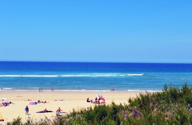 Résidence Nemea Le Domaine Des Dunes