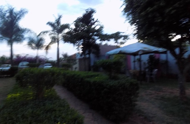 R & R Gardens