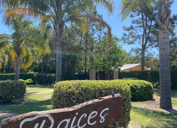 Raíces Casa Quinta