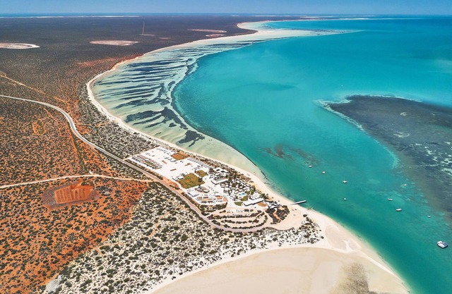 RAC Monkey Mia Dolphin Resort