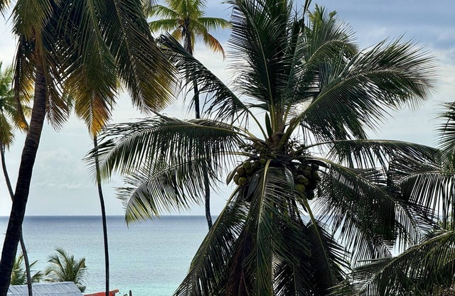 Rafiki Hotel Nungwi Beach