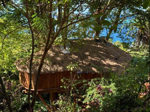 Raiatea Treelodge