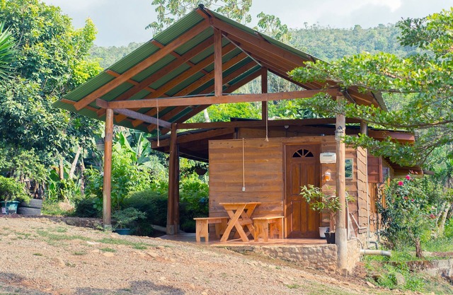 Cabañas Rain Ecolodge