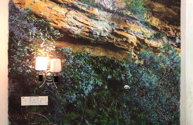 Rain Forest Hotel