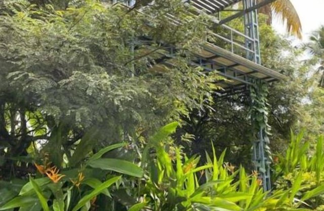 Rain Homestay