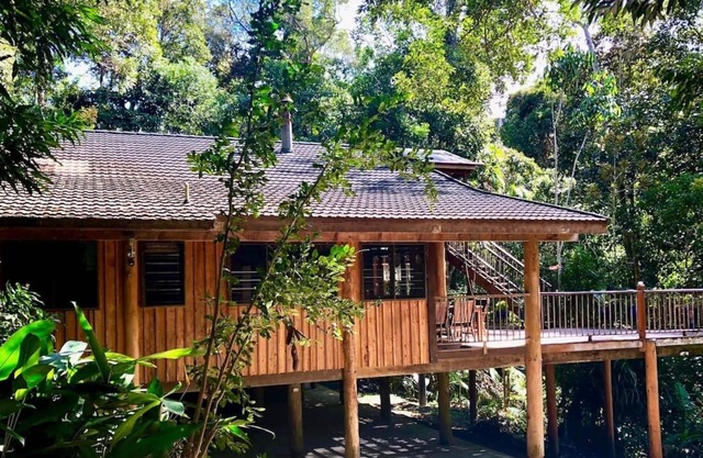 Rainforest Chalet Unforgettable Tropical Retreat