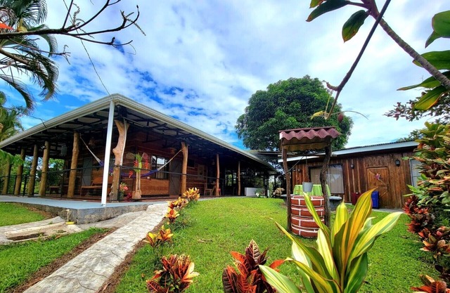 Rainforest House espera a los amantes de la aventura y la naturaleza.