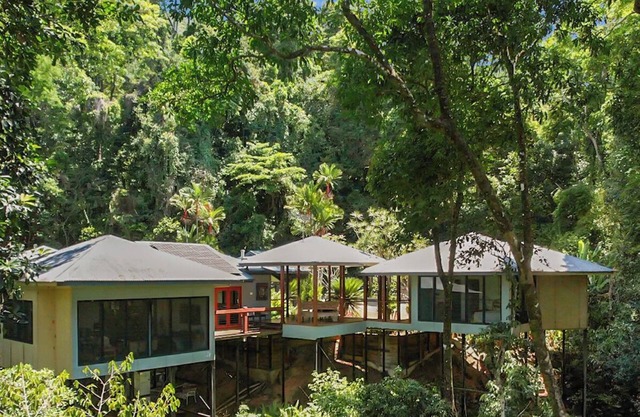 Rainforest Relaxation.