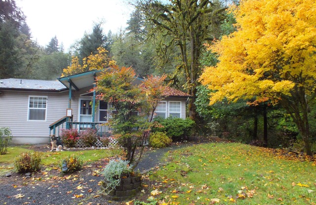 Rainforest Retreat on Private Acre with Stream