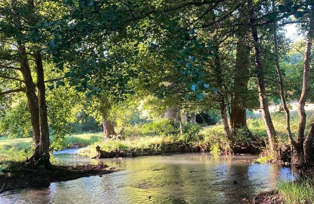 Rambling Water Mill in South West France. Perfect for families and friends,