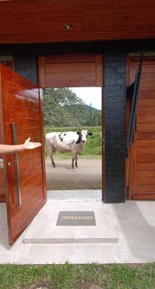 RANCH HAUS OXAPAMPA - PeT FRIENDLY