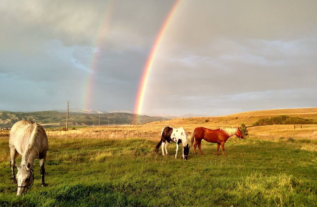 Ranches, Lakes, Mountains & the Great Outdoors. Bring Your Horses Pasture Onsite