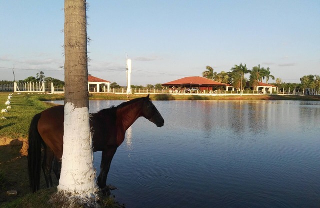 RANCHO SEIBERT TURISMO