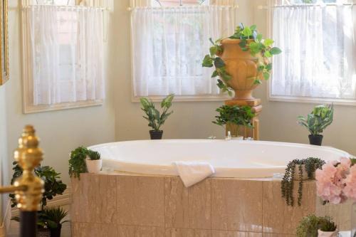 Rapunzels Cottage 1br Fairytale Studio Stay