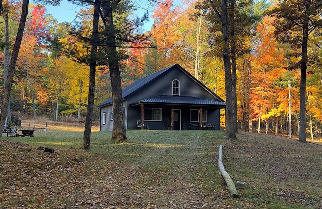 Rare Modern 3-bedroom cabin in Baldwin