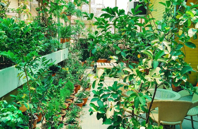 Ratnakar Bhawan - Heritage Homestay