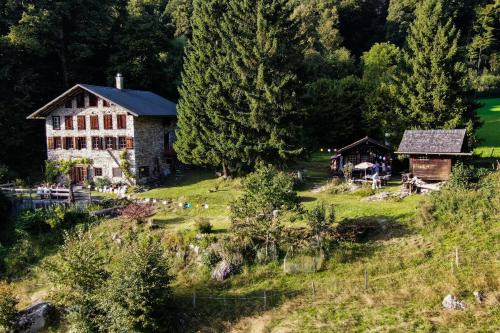 Rauft-Perfekter Rückzugsort für besondere Feierlichkeiten 2500 m2 Grundstück mitten in der Natur