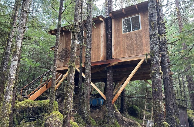 Raven's Nest Treehouse