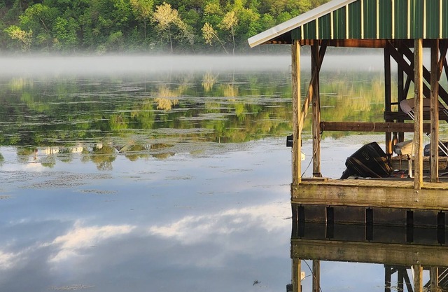 Log Cabin On Lake Taneycomo w/ Boat Slip
