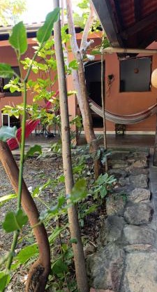 Recanto das Frutas
