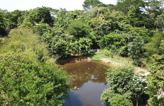 Recanto na Floresta