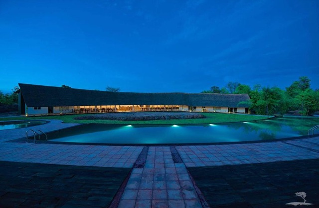 Red Earth Tadoba