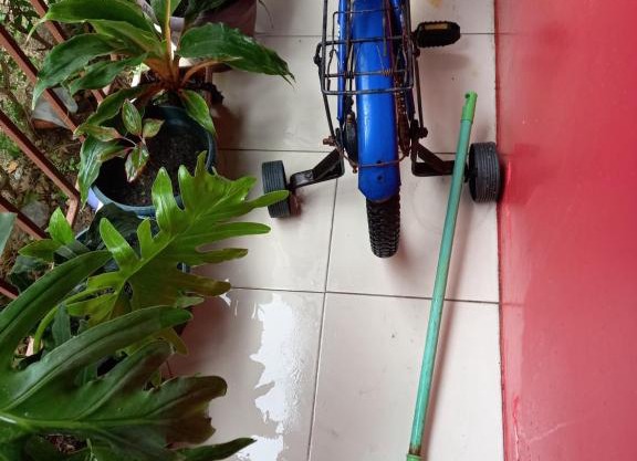 Red home place