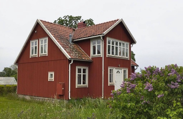 Red house 200 meters from the water overlooking bird-rich beach meadows.