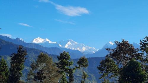 Red Panda Jungle Camp - A Unit of Davinchi Homes Pvt Ltd