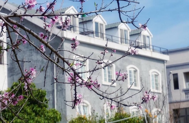 Red Roof B&B