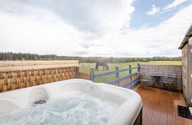 Redlands Country Lodge Log Cabin Apartments & WeeBothy