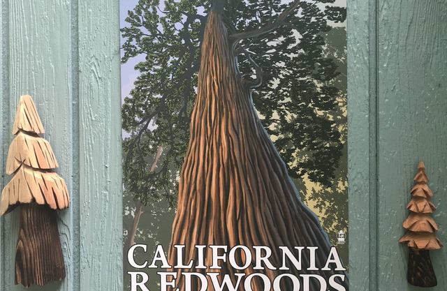 Redwood Retreat