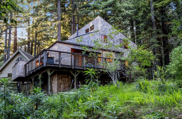 Redwood Retreat