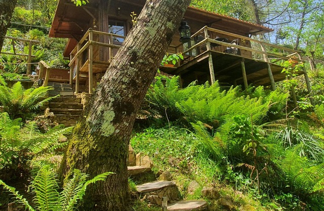 Vrbo Property