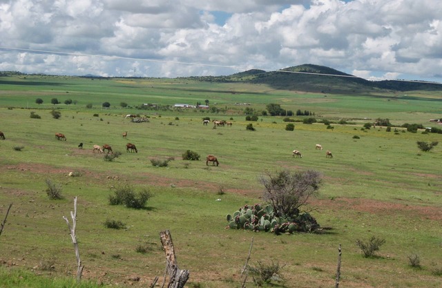 "Refugio en la Naturaleza: Cabaña Independiente para tu Estancia Perfecta"