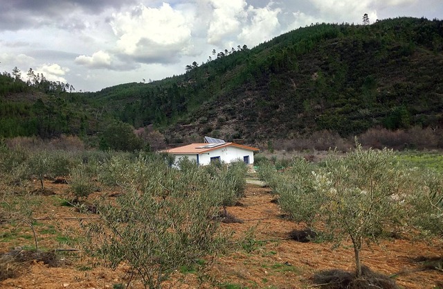 REFRIGO DEL RAPOSO / CASA DE LA RIBEIRA (AGROTURISMO)