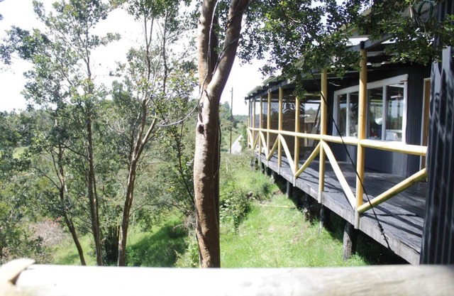 Refugio Familiar en los hermosos bosques de Aucar, Chiloé